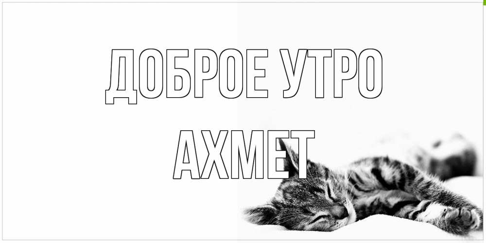 Открытка на каждый день с именем, Ахмет Доброе утро котуся Прикольная открытка с пожеланием онлайн скачать бесплатно 
