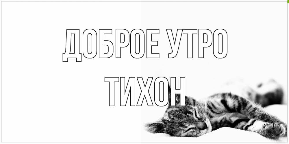 Открытка на каждый день с именем, Тихон Доброе утро котуся Прикольная открытка с пожеланием онлайн скачать бесплатно 