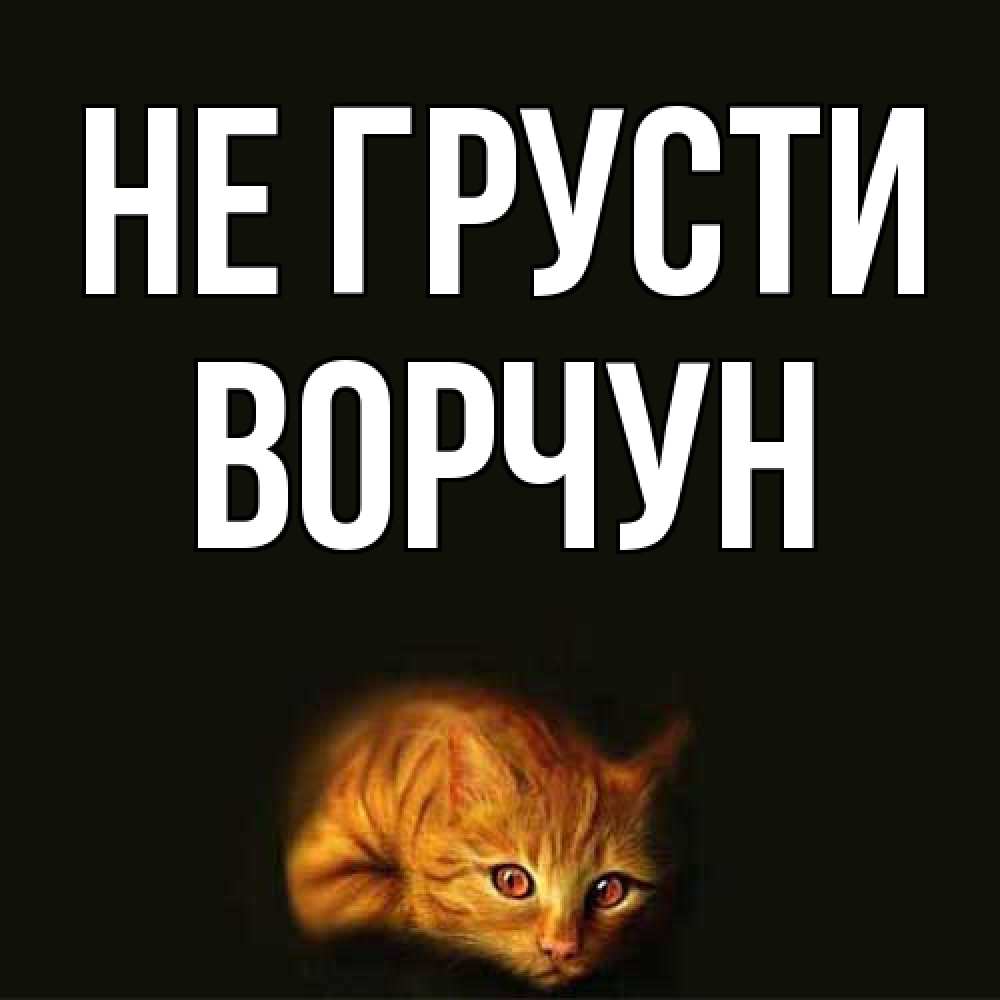 Открытка на каждый день с именем, Ворчун Не грусти лежащий кот в темноте Прикольная открытка с пожеланием онлайн скачать бесплатно 