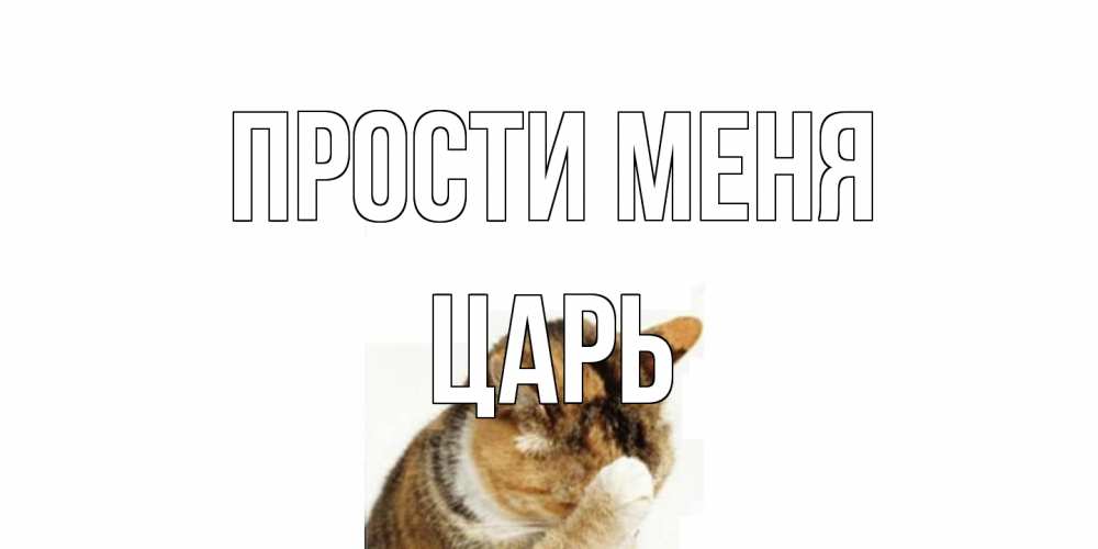 Открытка на каждый день с именем, Царь Прости меня кот Прикольная открытка с пожеланием онлайн скачать бесплатно 