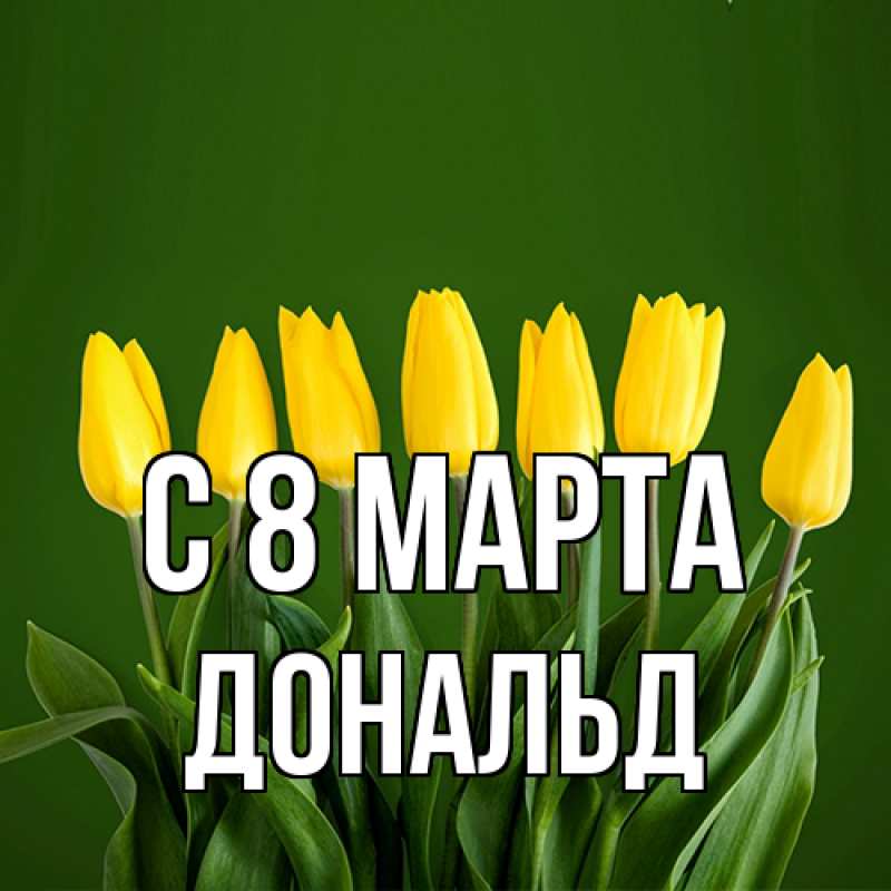Картинка C 8 МАРТА, Дональд