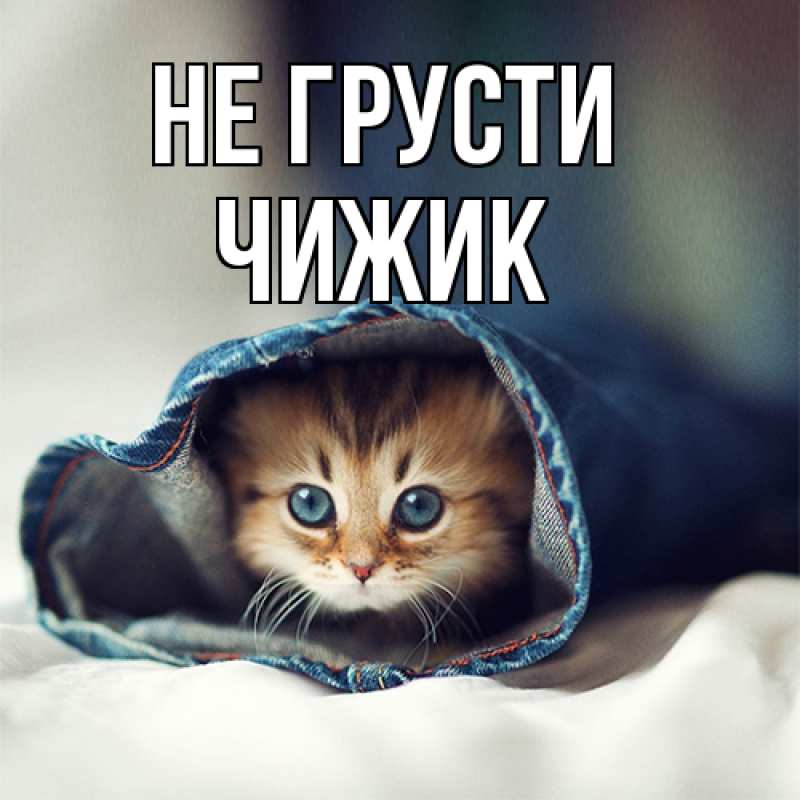 Картинка Не грусти, Чижик