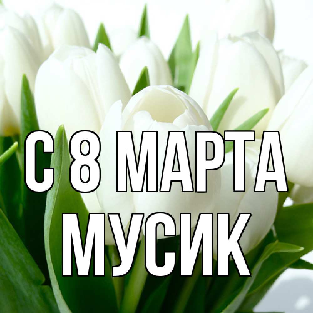 Открытка на каждый день с именем, мусик C 8 МАРТА цветы Прикольная открытка с пожеланием онлайн скачать бесплатно 