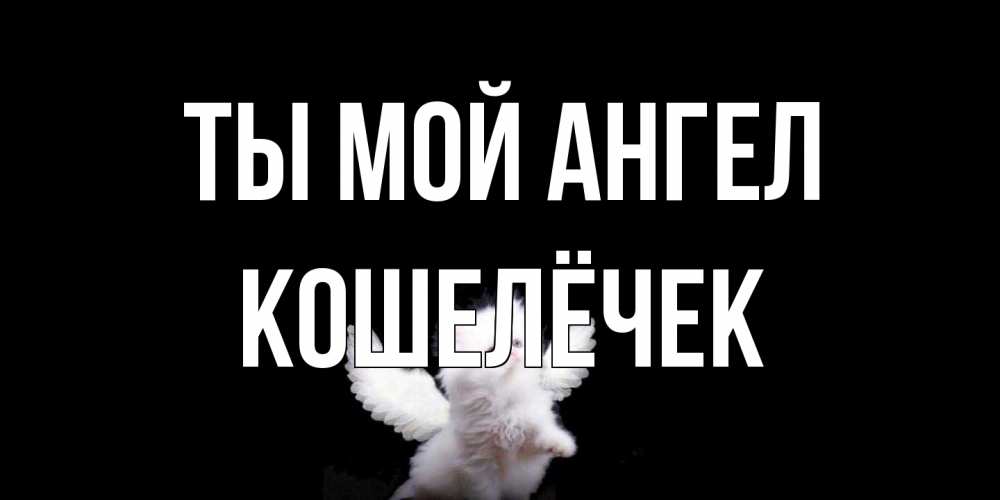 Открытка на каждый день с именем, кошелёчек Ты мой ангел Кот ангел Прикольная открытка с пожеланием онлайн скачать бесплатно 