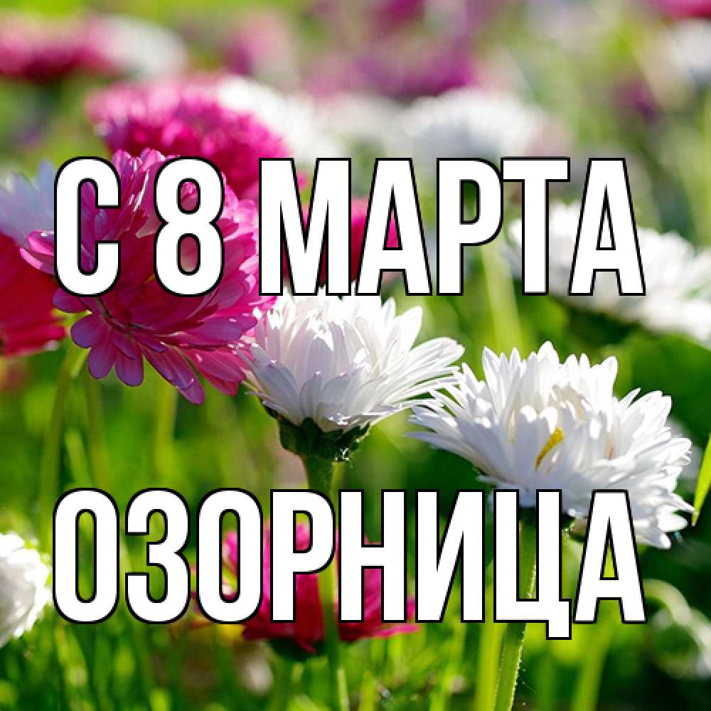 Открытка на каждый день с именем, Озорница C 8 МАРТА международный женский день 1 Прикольная открытка с пожеланием онлайн скачать бесплатно 