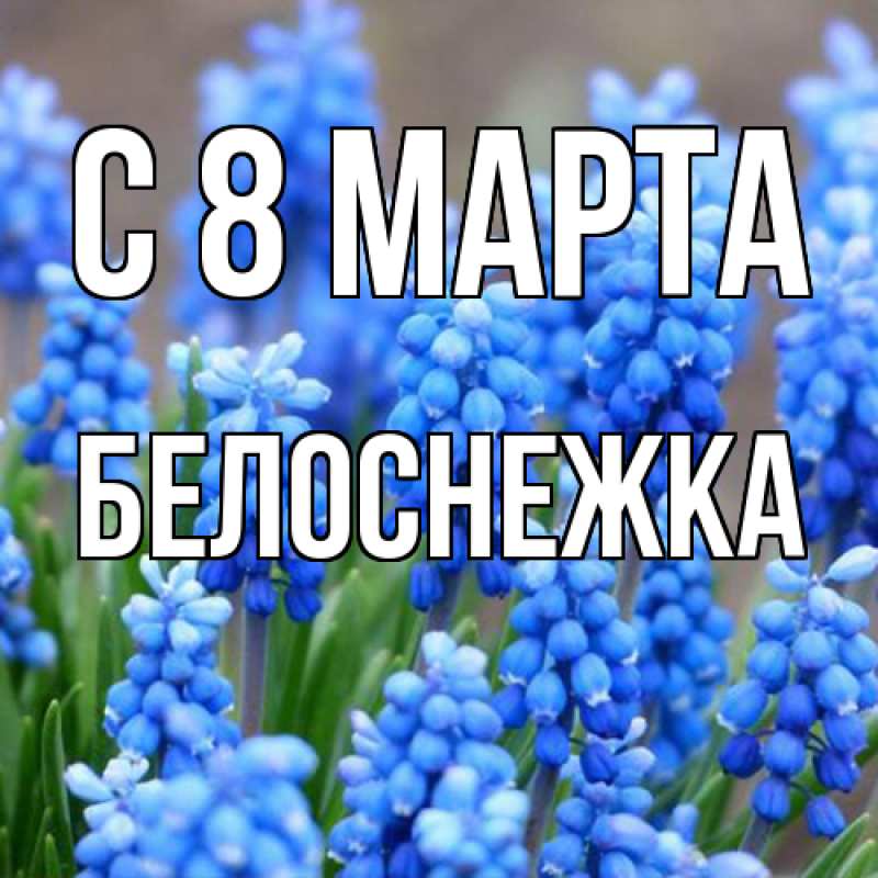 Картинка C 8 МАРТА, Белоснежка