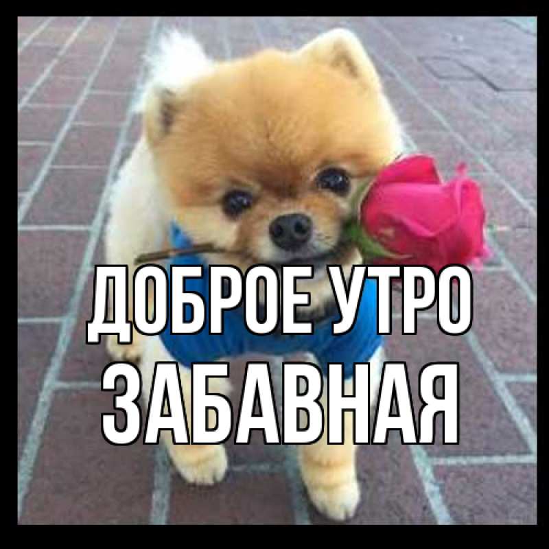 Картинка Доброе утро, забавная