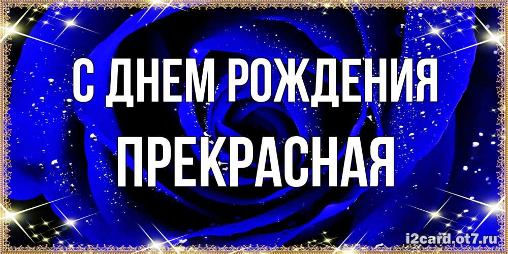 Открытка на каждый день с именем, Пpекpасная С днем рождения голубые цветы в росе Прикольная открытка с пожеланием онлайн скачать бесплатно 