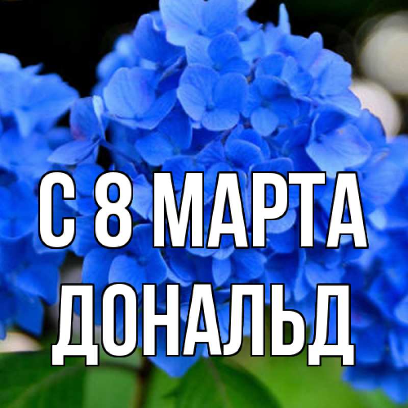 Картинка C 8 МАРТА, Дональд