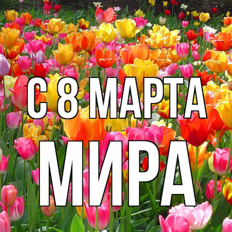 Картинка C 8 МАРТА, Мира