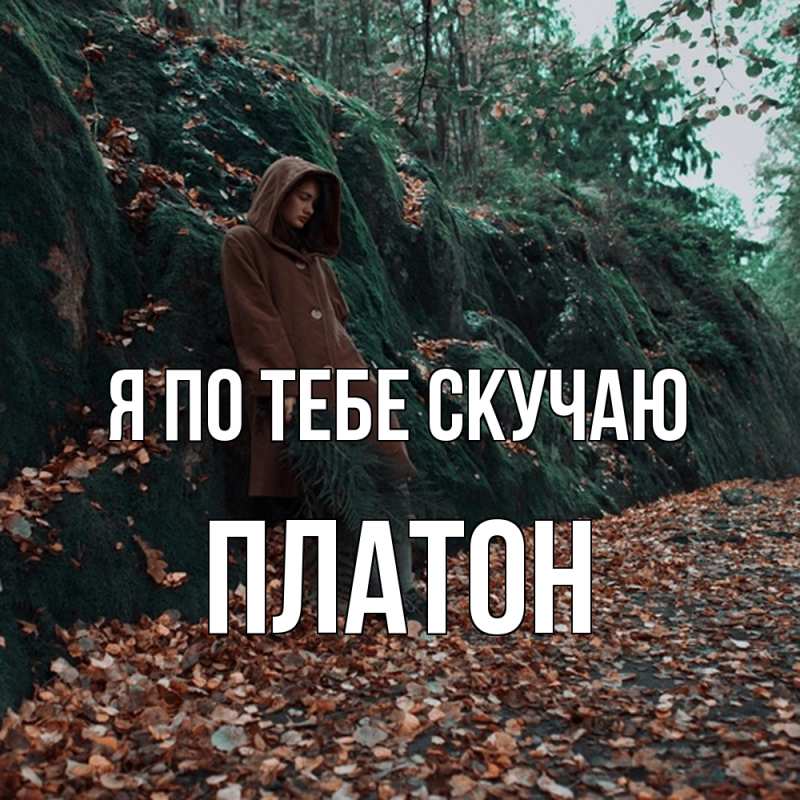 Картинка Я по тебе скучаю, Платон