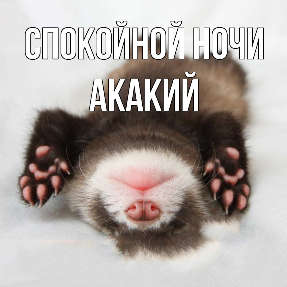 Открытка на каждый день с именем, Акакий Спокойной ночи зверек Прикольная открытка с пожеланием онлайн скачать бесплатно 