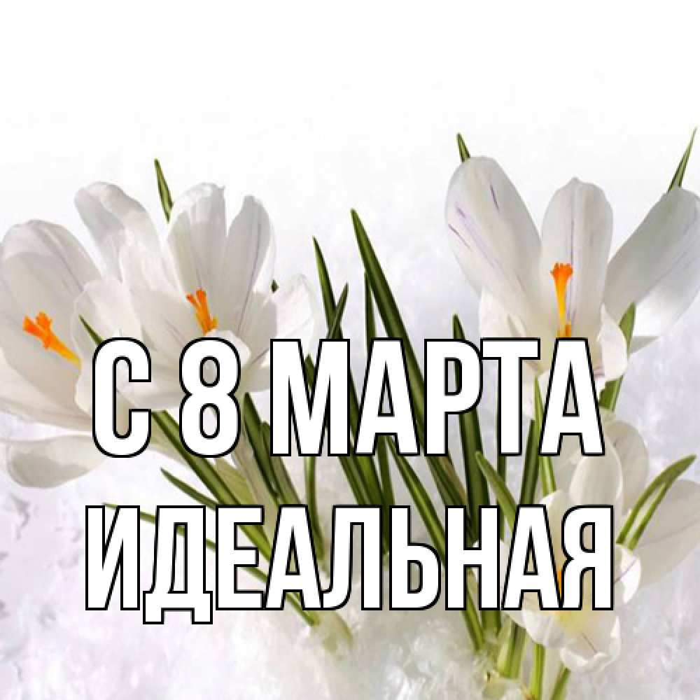 Открытка на каждый день с именем, идеальная C 8 МАРТА под снегом Прикольная открытка с пожеланием онлайн скачать бесплатно 