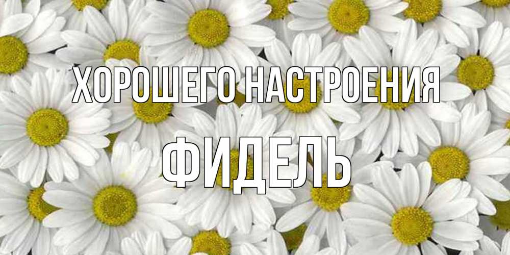 Открытка на каждый день с именем, Фидель Хорошего настроения поляна ромашек Прикольная открытка с пожеланием онлайн скачать бесплатно 