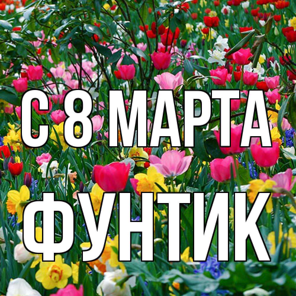 Открытка на каждый день с именем, фунтик C 8 МАРТА с международным женским днем поздравления для женщины Прикольная открытка с пожеланием онлайн скачать бесплатно 