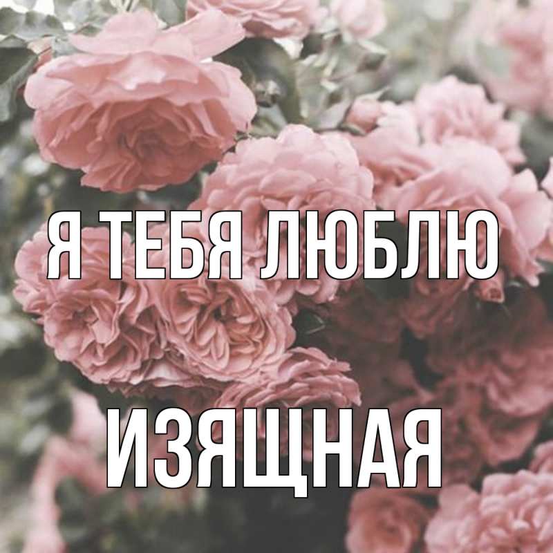 Открытка с именем, Изящная, Я тебя люблю