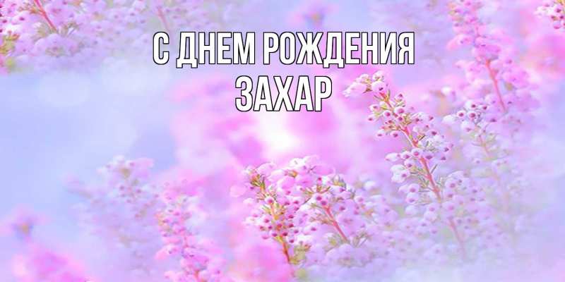 Картинка С днем рождения, Захар