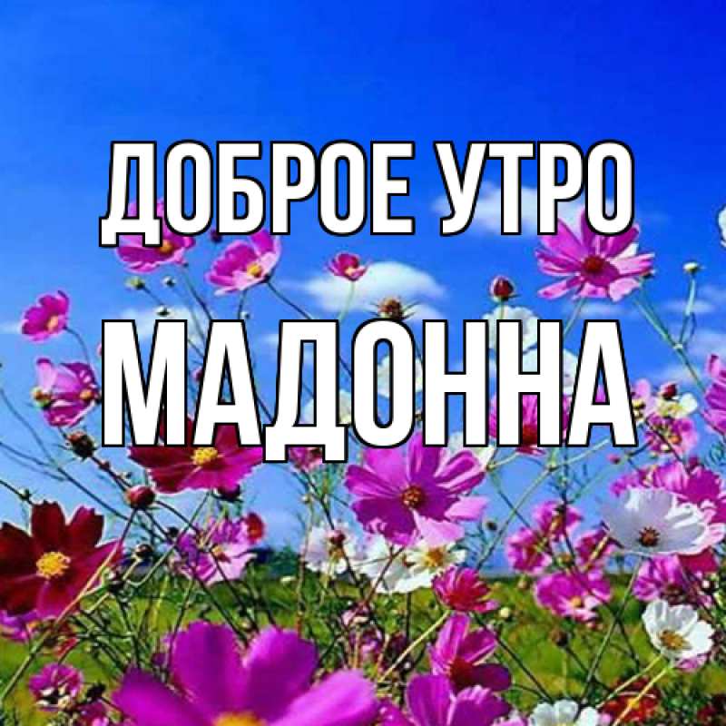 Картинка Доброе утро, Мадонна