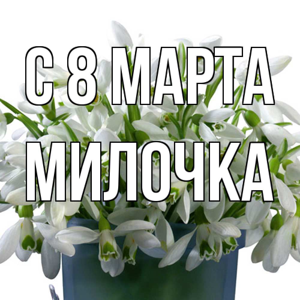 Открытка на каждый день с именем, Милочка C 8 МАРТА цветы к международному женскому дню Прикольная открытка с пожеланием онлайн скачать бесплатно 