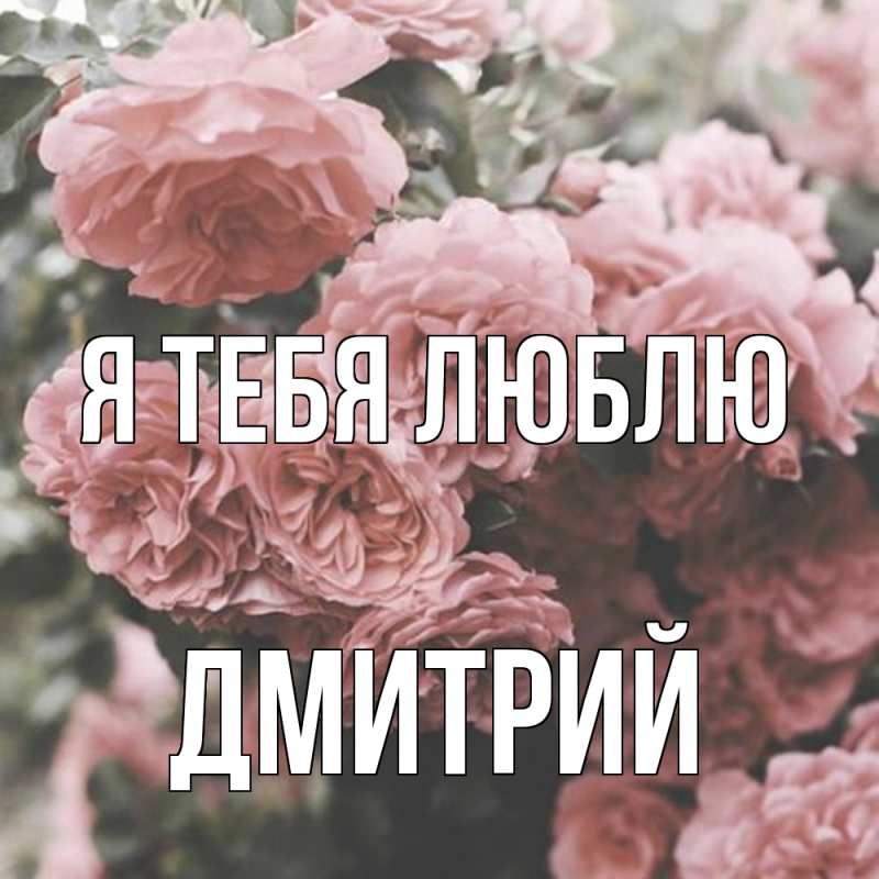 Картинка Я тебя люблю, Дмитрий
