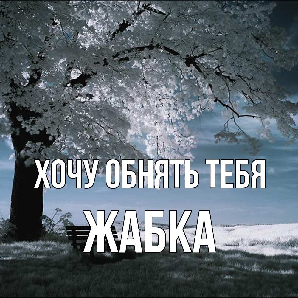 Открытка на каждый день с именем, Жабка Хочу обнять тебя дерево Прикольная открытка с пожеланием онлайн скачать бесплатно 