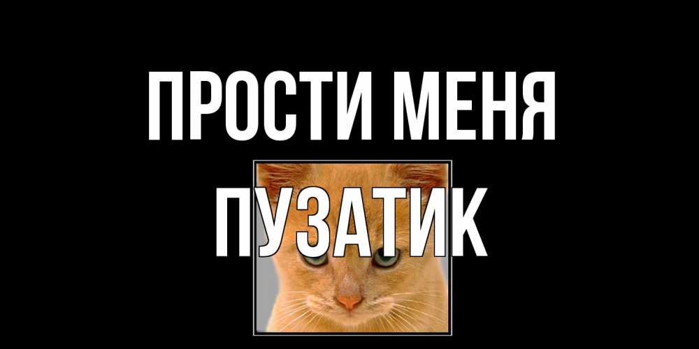 Открытка на каждый день с именем, Пузатик Прости меня рыжий грустный кот просит прощения Прикольная открытка с пожеланием онлайн скачать бесплатно 