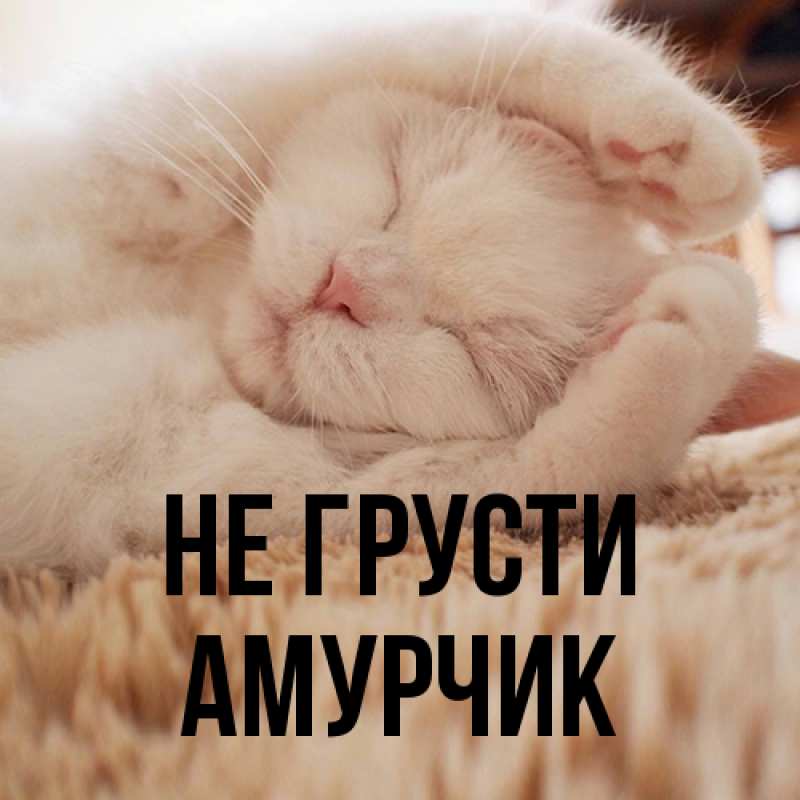 Картинка Не грусти, амурчик