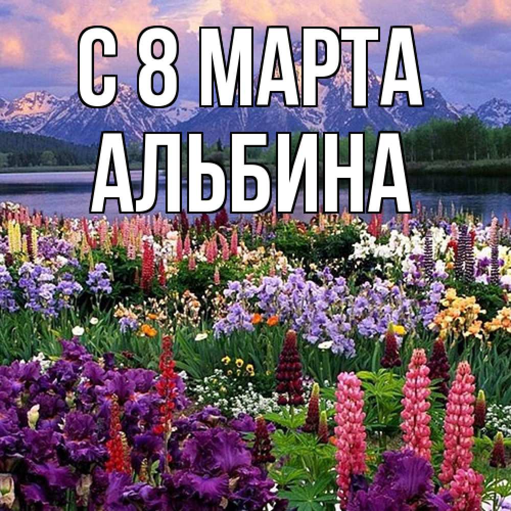 Открытка на каждый день с именем, Альбина C 8 МАРТА международный женский день Прикольная открытка с пожеланием онлайн скачать бесплатно 