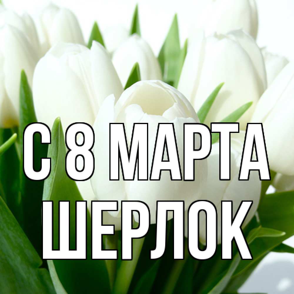 Открытка на каждый день с именем, Шерлок C 8 МАРТА цветы Прикольная открытка с пожеланием онлайн скачать бесплатно 