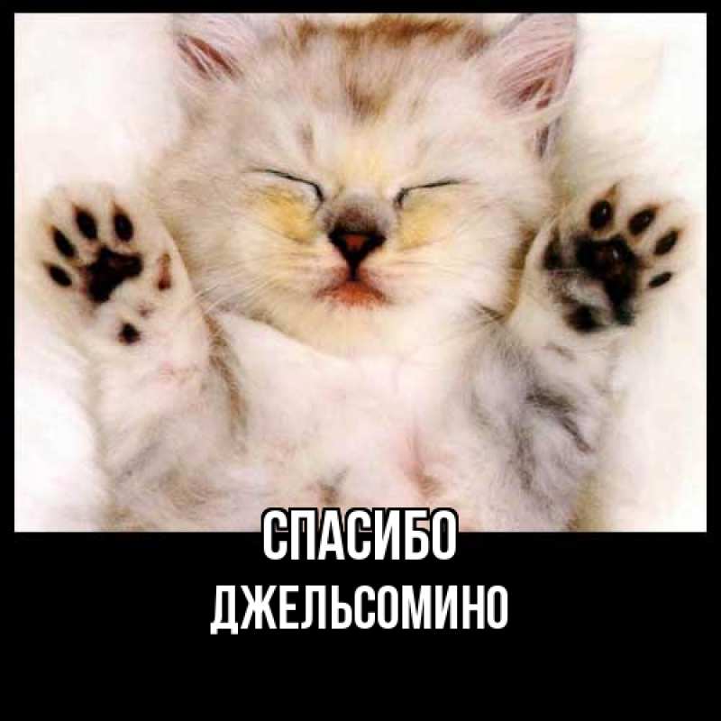 Картинка Спасибо, Джельсомино