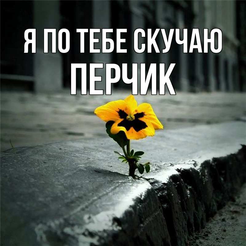 Картинка Я по тебе скучаю, перчик