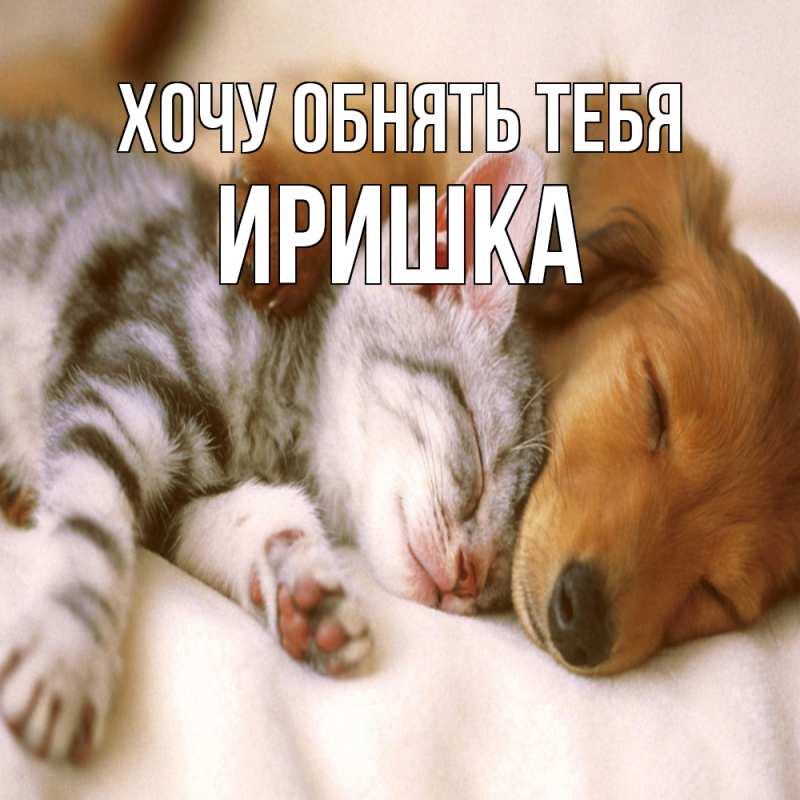 Картинка Хочу обнять тебя, Иришка