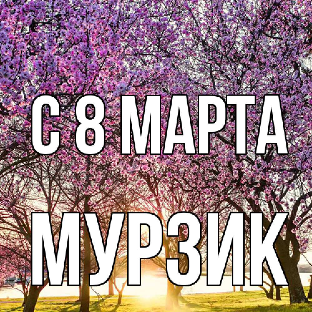 Открытка на каждый день с именем, Муpзик C 8 МАРТА международный женский день Прикольная открытка с пожеланием онлайн скачать бесплатно 