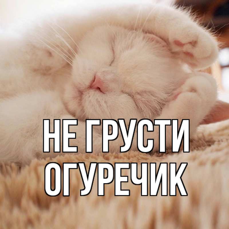 Картинка Не грусти, Огуречик