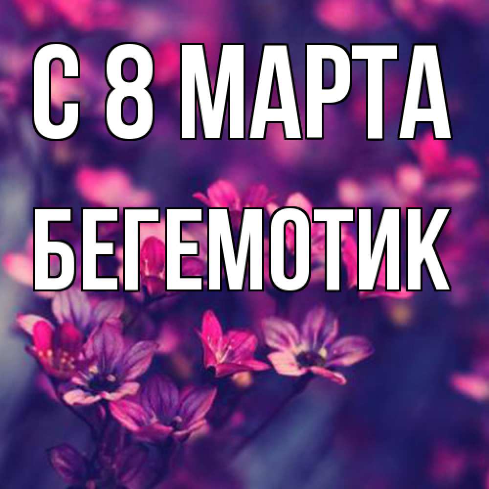 Открытка на каждый день с именем, Бегемотик C 8 МАРТА небольшие цветы 1 Прикольная открытка с пожеланием онлайн скачать бесплатно 