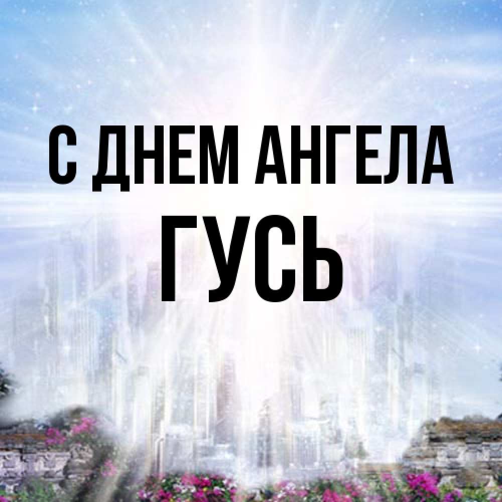 Открытка на каждый день с именем, Гусь С днем ангела небесный свет Прикольная открытка с пожеланием онлайн скачать бесплатно 