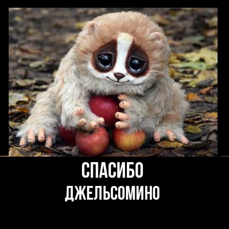 Картинка Спасибо, Джельсомино