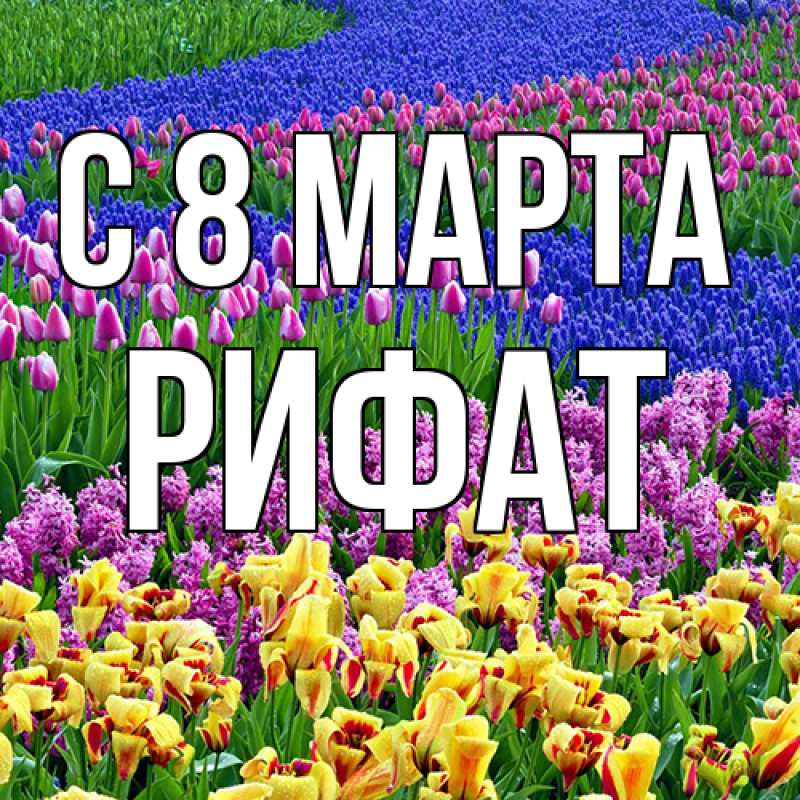 Картинка C 8 МАРТА, Рифат