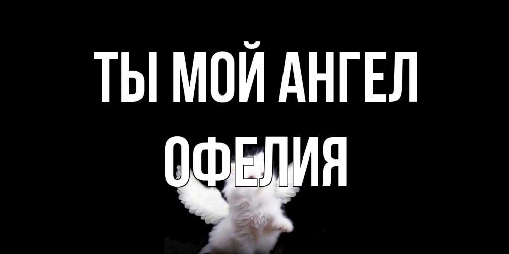 Открытка на каждый день с именем, Офелия Ты мой ангел Кот ангел Прикольная открытка с пожеланием онлайн скачать бесплатно 