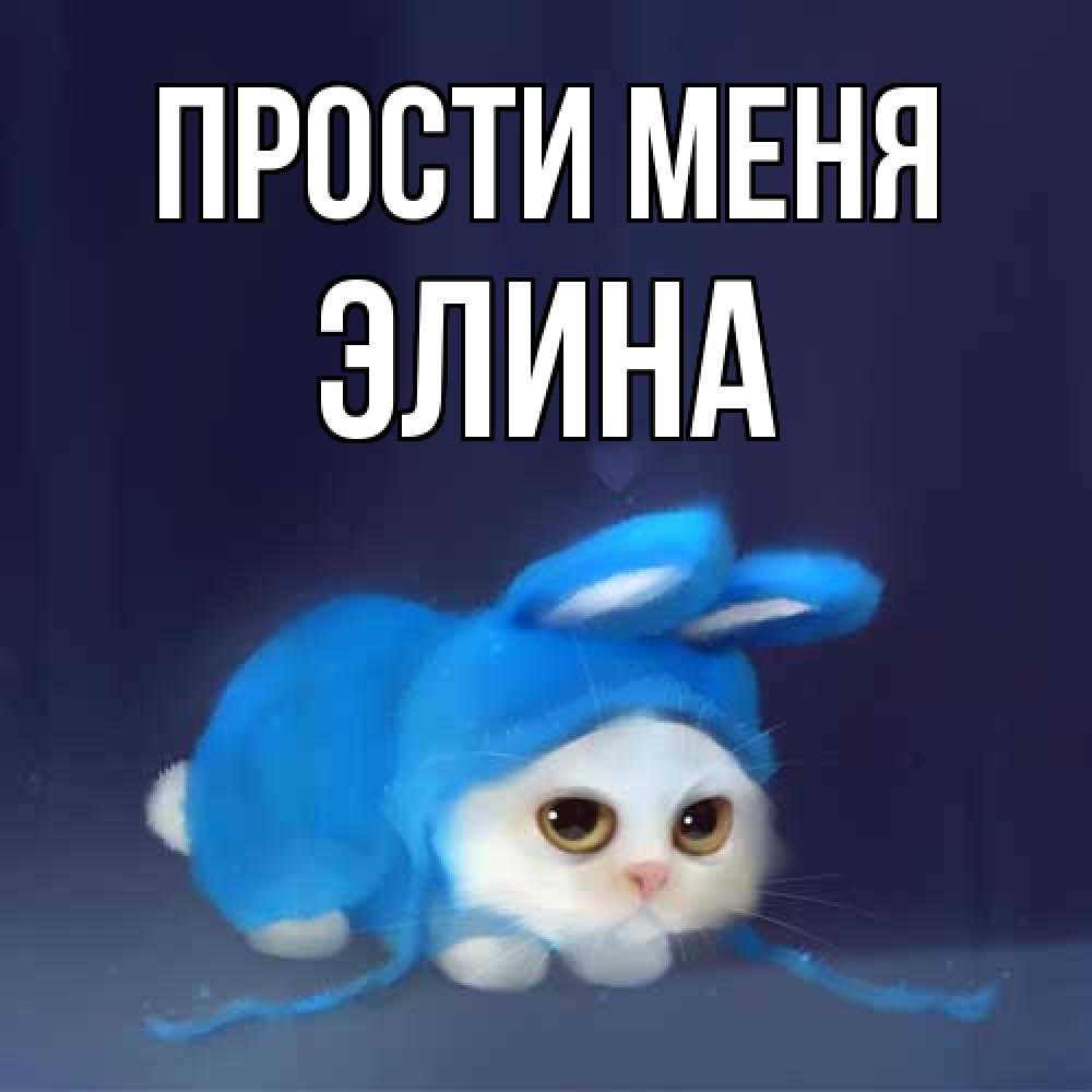 Открытка на каждый день с именем, Элина Прости меня невинный котозай просит прощения Прикольная открытка с пожеланием онлайн скачать бесплатно 