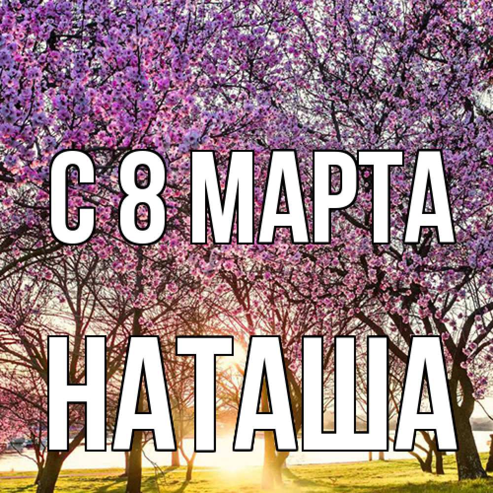 Открытка на каждый день с именем, Наташа C 8 МАРТА международный женский день Прикольная открытка с пожеланием онлайн скачать бесплатно 
