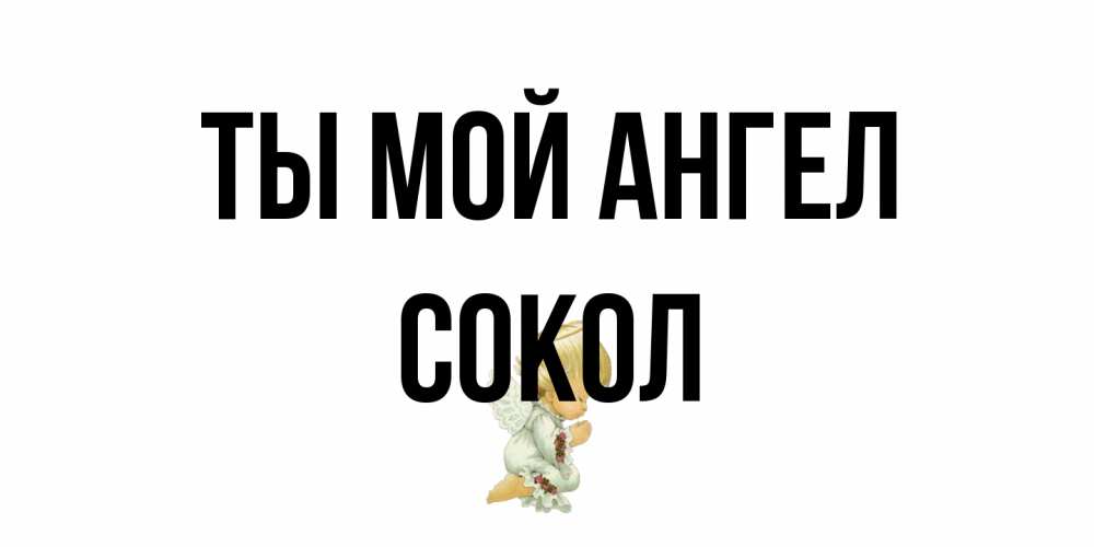 Открытка на каждый день с именем, Сокол Ты мой ангел ангел Прикольная открытка с пожеланием онлайн скачать бесплатно 