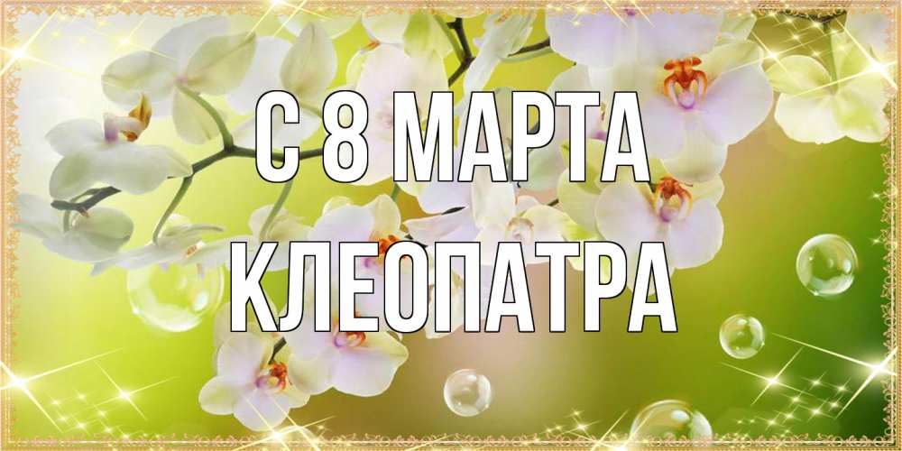 Открытка на каждый день с именем, Клеопатра C 8 МАРТА открытка с цветами на международный женский день Прикольная открытка с пожеланием онлайн скачать бесплатно 