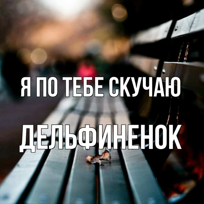 Картинка Я по тебе скучаю, дельфиненок
