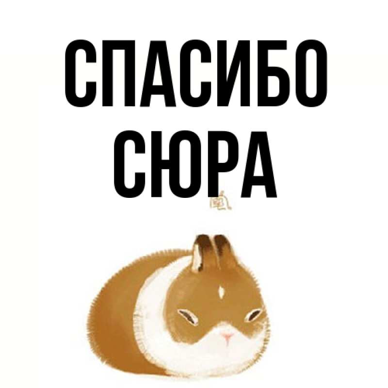 Картинка Спасибо, СЮРА