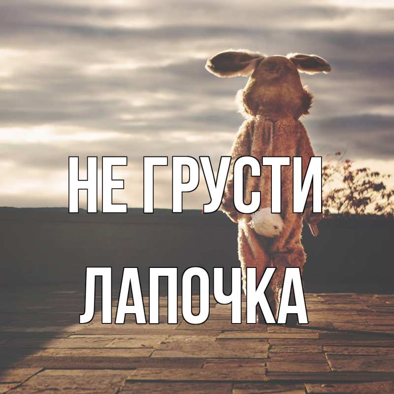 Картинка Не грусти, лапочка