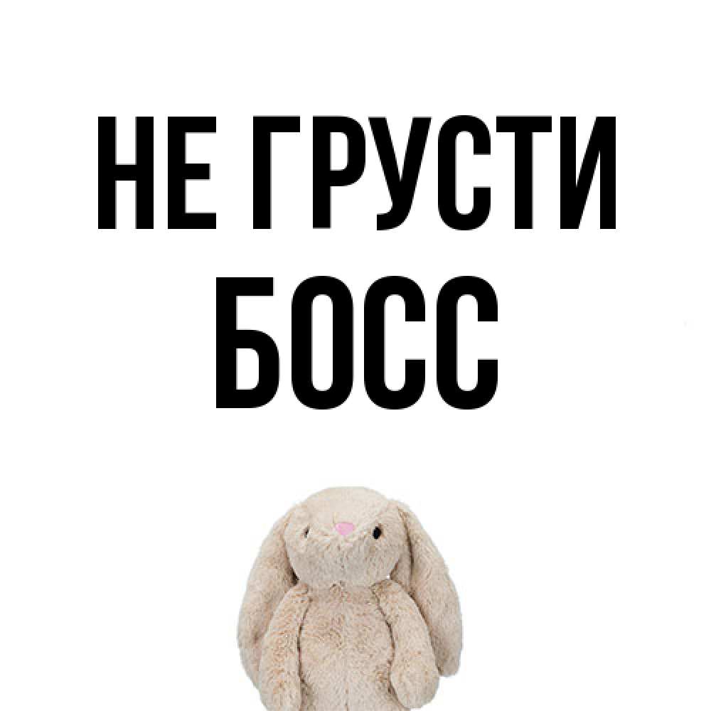 Открытка на каждый день с именем, Босс Не грусти детская игрушка зайчика Прикольная открытка с пожеланием онлайн скачать бесплатно 