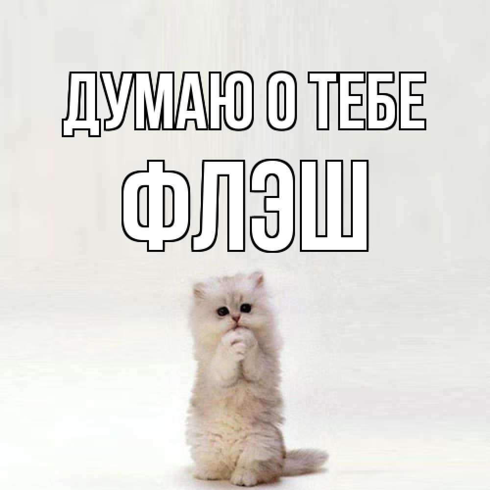 Открытка на каждый день с именем, Флэш Думаю о тебе кот стоит на задних лапах Прикольная открытка с пожеланием онлайн скачать бесплатно 