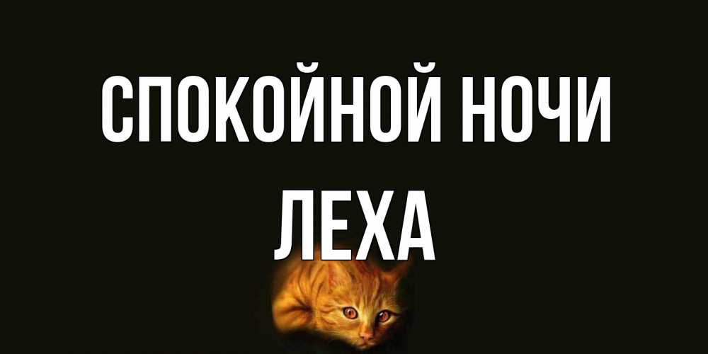 Открытка на каждый день с именем, леха Спокойной ночи кот Прикольная открытка с пожеланием онлайн скачать бесплатно 