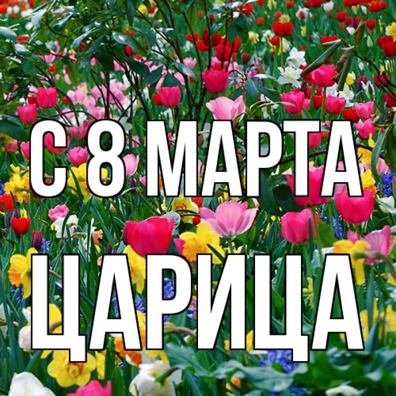 Картинка C 8 МАРТА, Царица